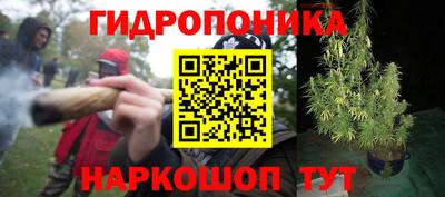 гидра Краснознаменск