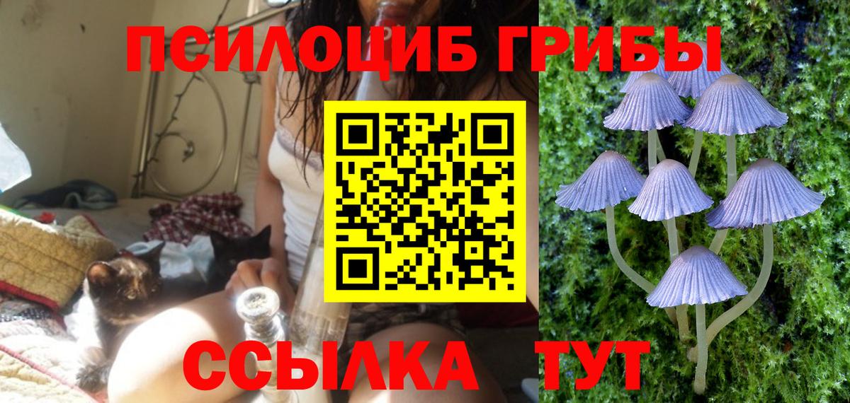 Казань  Псилоцибиновые грибы MAGIC MUSHROOMS  Вход с VPN 