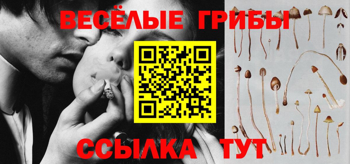 Галлюциногенные грибы MAGIC MUSHROOMS Казань